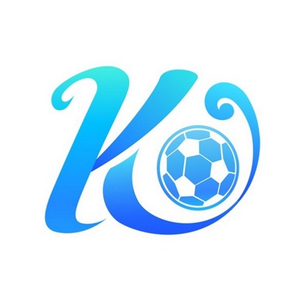 kaiyun體育全站與國家電網案例
